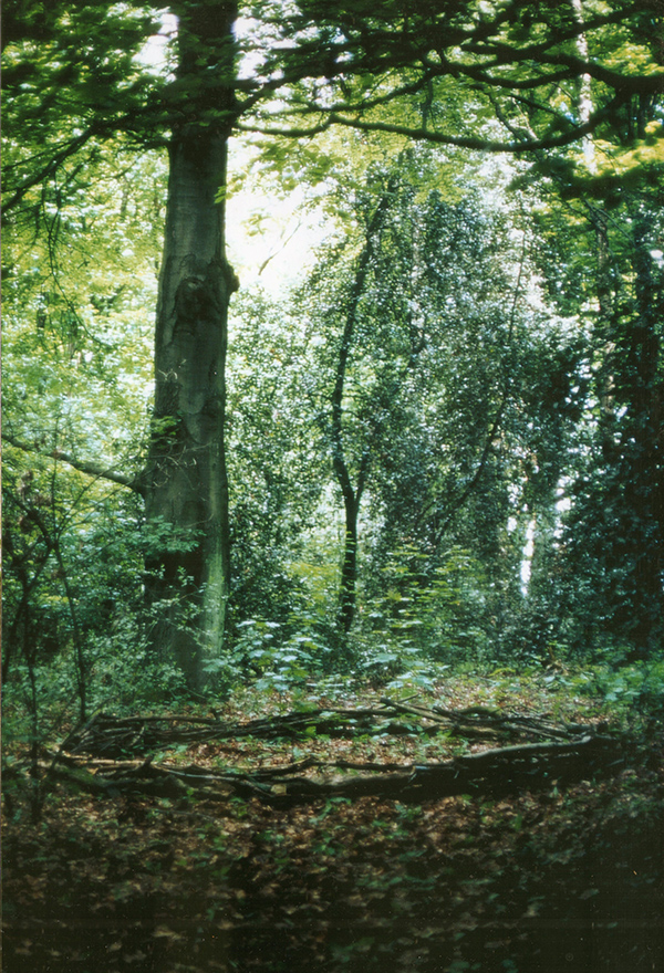 HUNDEFAENGER. Land Art Environment, Revierpark Gysenberg, Herne, 2003