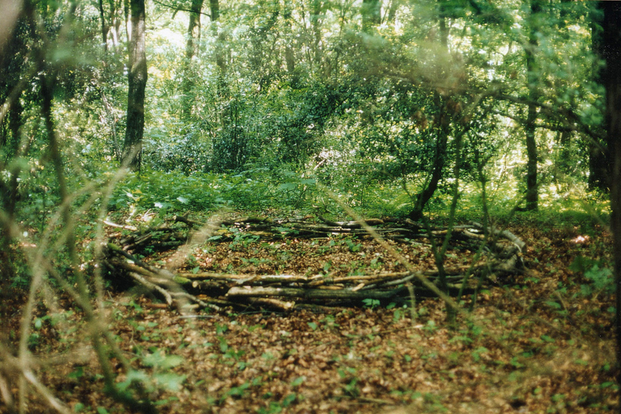 HUNDEFAENGER. Land Art Environment, Revierpark Gysenberg, Herne, 2003