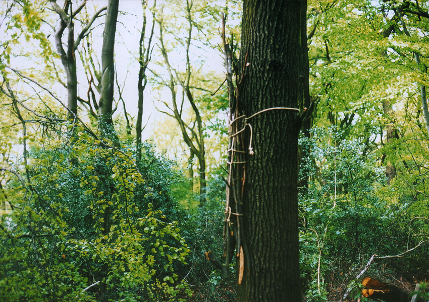 HUNDEFAENGER. Land Art Environment, Revierpark Gysenberg, Herne, 2003