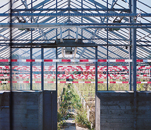 Thomas Klegin, Distrikt