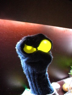 LiveSocks