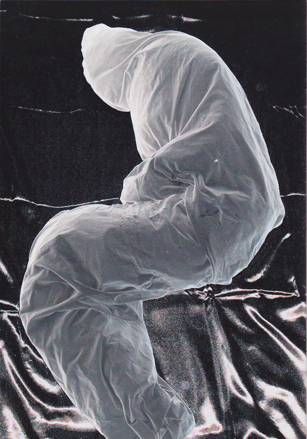 Monika Ortmann, Zone D