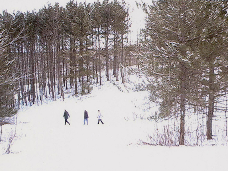 Michael John Whelan, After the Hunt, 2005, video